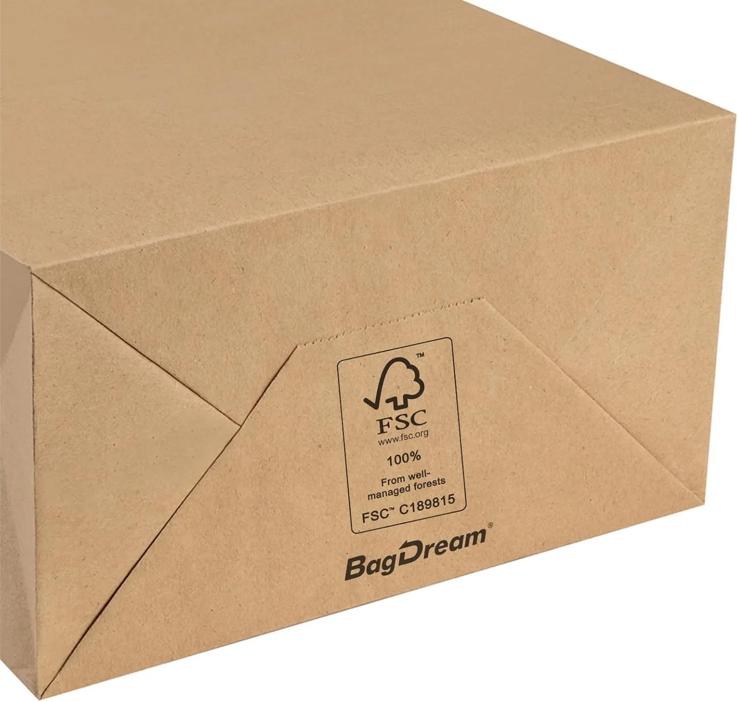 BagDream Gift Bags 8x4.25x10.5 100Pcs Kraft Brown Paper Gift Bags with Handles Bulk for Wedding, Party Favor, Grocery, Shopping, Retail, Merchandise Medium Paper Sacks