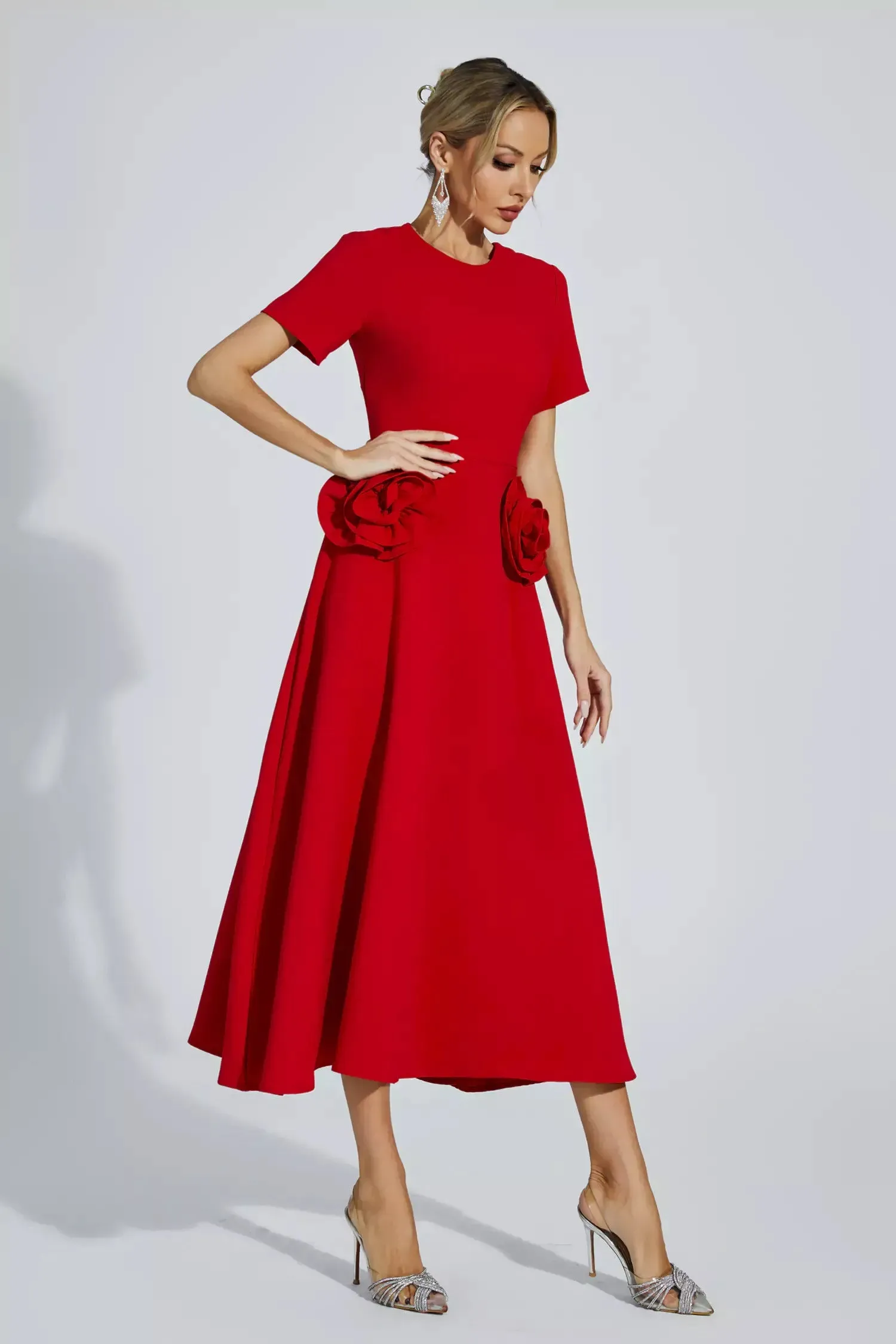 Grace Floral Appliqu Short Sleeve Midi Dress