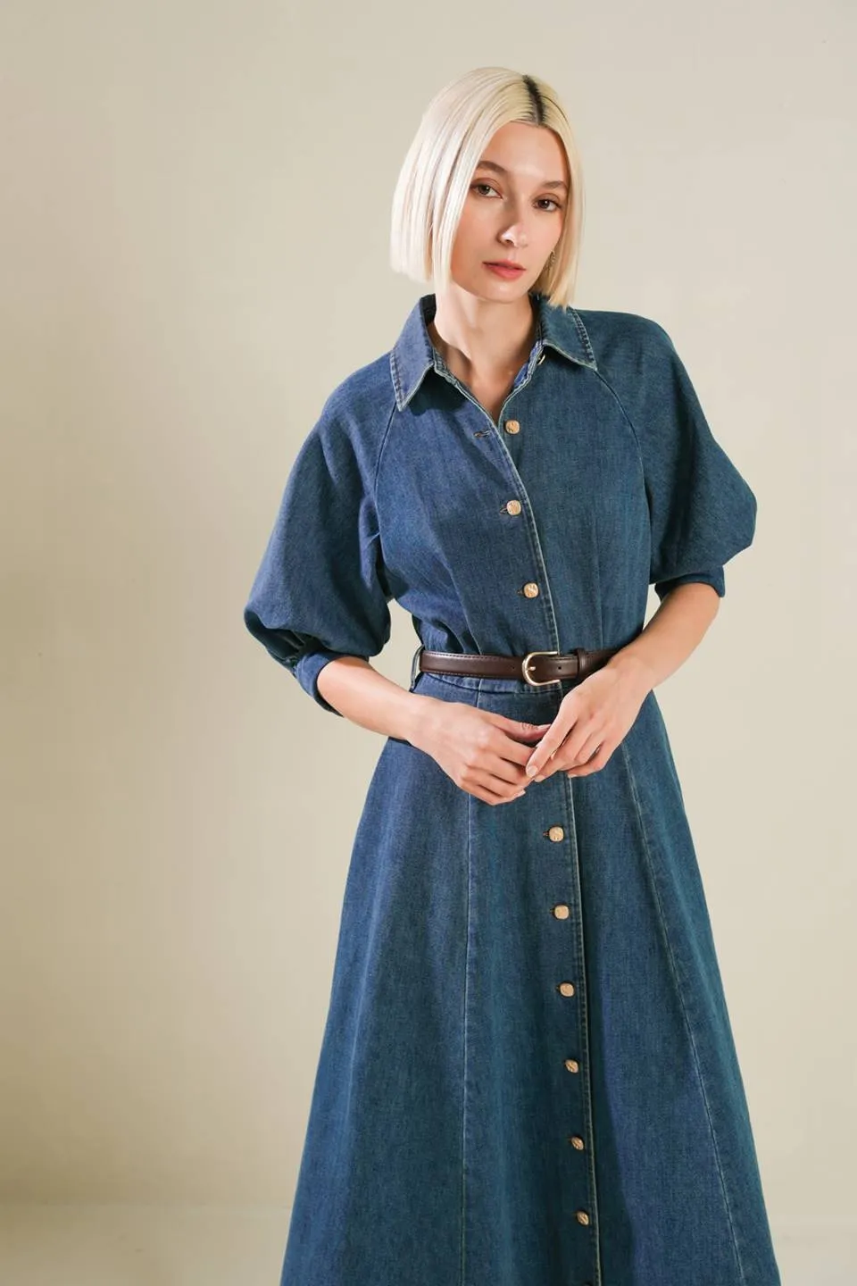 Tribeca Denim Dress